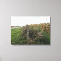 Paysage serein Poste rural dans le Midwest