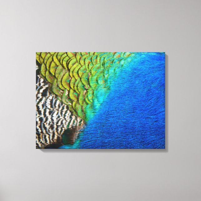 Toile Peacock Feathers IV Colorful Abstrait Nature (Recto)