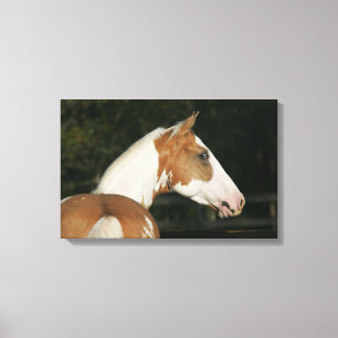 Toile Peignez le Headshot 2 de cheval