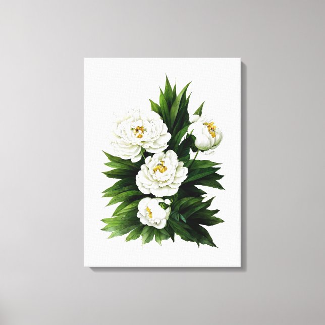 Toile Peine blanche peony botanique aquarelle art (Recto)