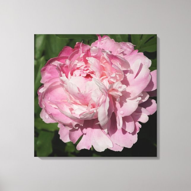 Toile Peine rose de 24 po x 24 po (Recto)