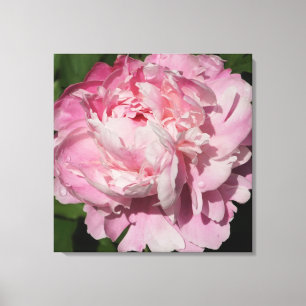 Toile Peine rose de 24 po x 24 po