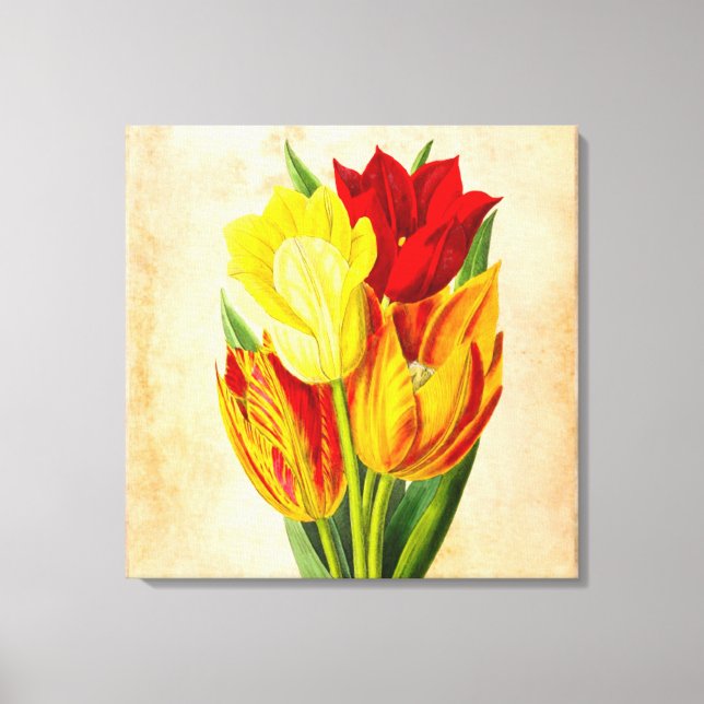 Toile Peinture à l'huile de tulipe (Recto)
