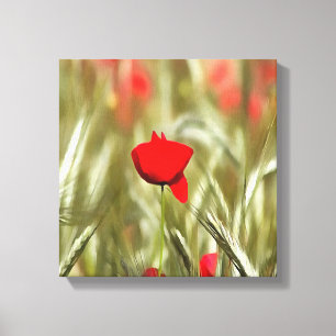 Toile Peinture acrylique Hot Poppy