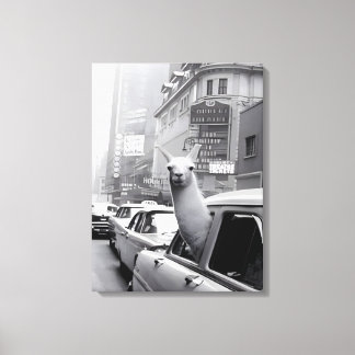 Toile Peinture animale Llama Canvas Mur Art