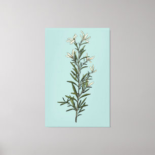 Toile Peinture de printemps de romarin vert luxuriant