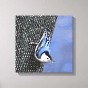 Toile Peinture Nuthatch à poitrine blanche Art original