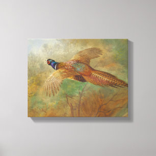 Toile Peintures d'oiseau de faisan de vol d'Archibald
