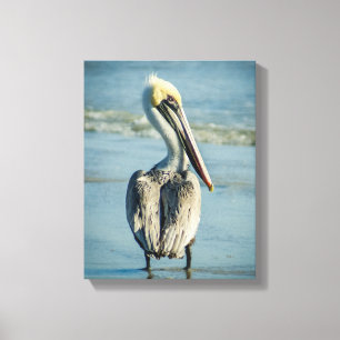 Toile Pélican sur une plage de Floride