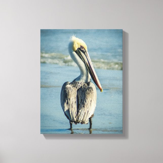 Toile Pélican sur une plage de Floride (Recto)