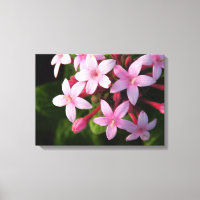 Pentas