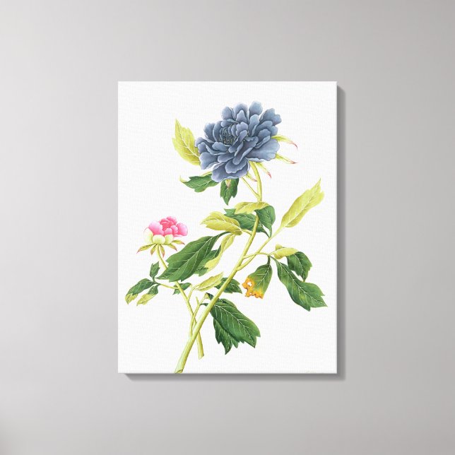Toile Peony (Recto)