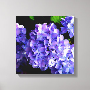 Toile Périwinkel hydrangeas fleurs violettes fleurs bleu