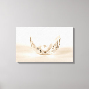 Toile perle en coquillage