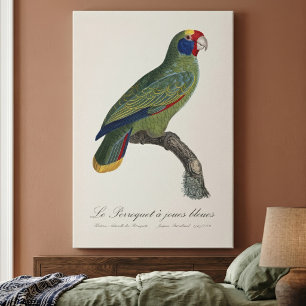 Toile Perroquet à queue rouge, Amazona Brasiliensis