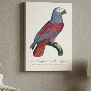 Toile Perroquet Gris du Congo Facteur Rouge Psittacus Er