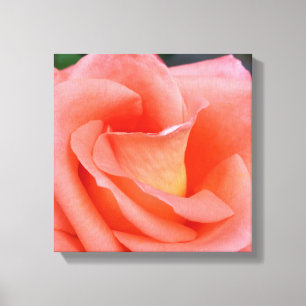 Toile pétales roses