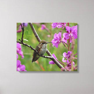 Toile petit colibri