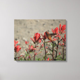 Toile petit colibri