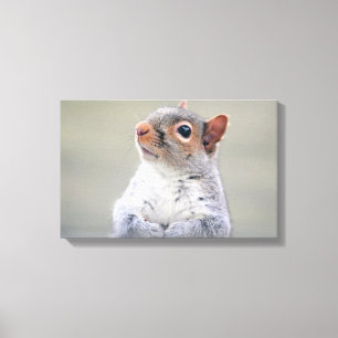 Toile Petit écureuil gris mou et pelucheux mignon