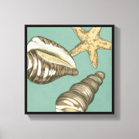 Petit trio Shell Turquoise