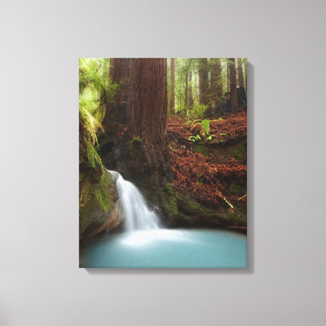 Toile Petite cascade forestière (Recto)