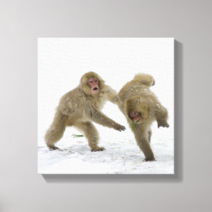 Toile Petits animaux japonais de singe de neige jouant