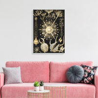 Phaeodaria | 61 Or | Ernst Haeckel |