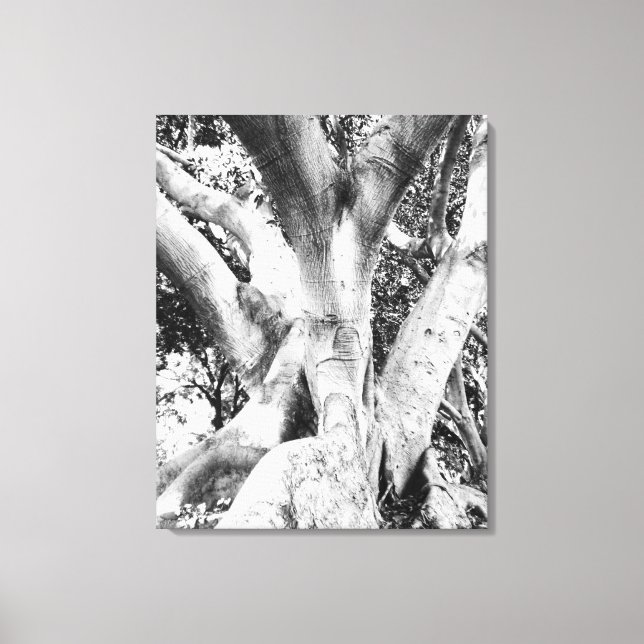 Toile Photo Arbre - Arbre noir et blanc Monochrome épais (Recto)
