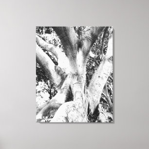 Toile Photo Arbre - Arbre noir et blanc Monochrome épais