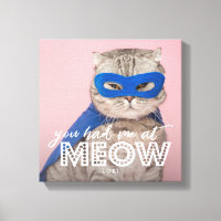 Photo Cat | Vous M'Avez Eu Chez MEOW Custom