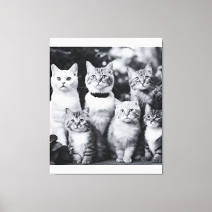 Toile Photo de chat noir et blanc