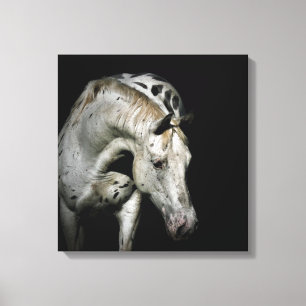 Toile Photo de cheval d'Appaloosa