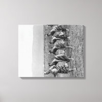 Photo de danse de guerre maorie