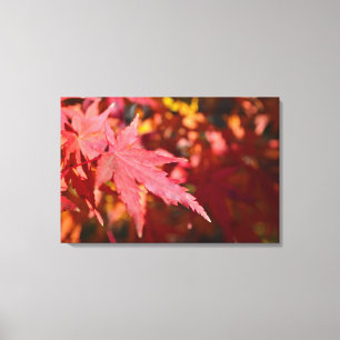 Toile Photo de feuille d'érable rouge orange automne gro