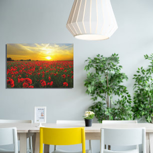 Toile Photo de fleurs sauvages de coquelicot rouge