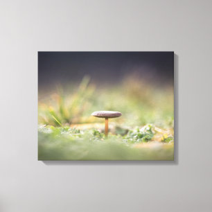 Toile Photo de la nature des champignons
