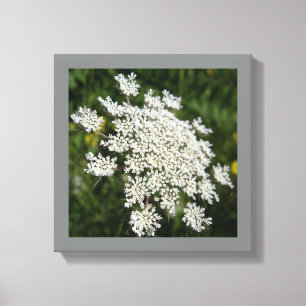 Toile Photo dentelle de la reine blanche de 12 po x 12 p