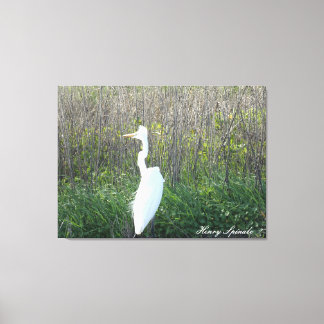 Toile Photo d'un Aiguille sauvage sur toile.