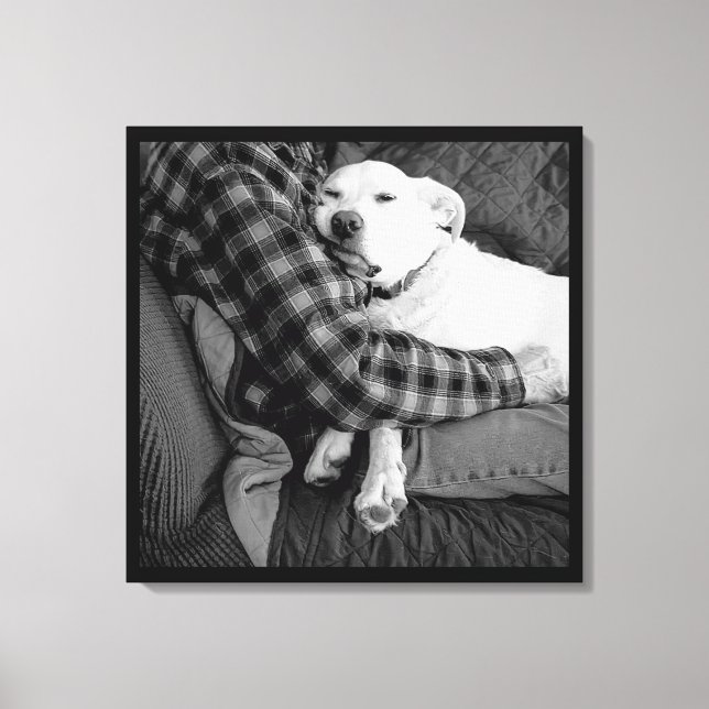 Toile Photo en noir et blanc de chien en train de frappe (Recto)