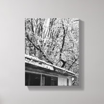 Photo en noir et blanc de la scène hivernale rusti