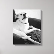 Photo en noir et blanc de Talking Dog Print