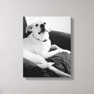 Toile Photo en noir et blanc de Talking Dog Print