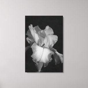 Toile Photo floral d'iris noir et blanc