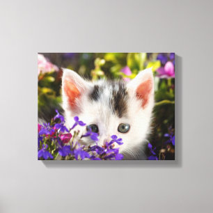 Toile Photo mignonne de chat de jardin de fleurs de