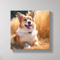 Photo personnalisée pour animaux