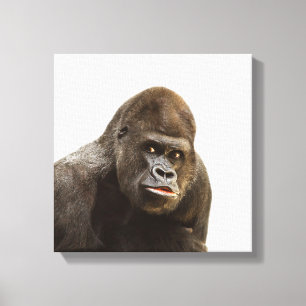 Toile Photo sauvage d'animal de zoo de jungle de gorille