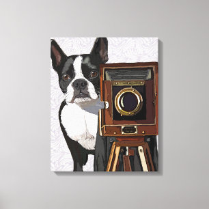 Toile Photographe de Boston Terrier