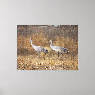Toile Photographie d'animaux de faune d'oiseaux de grue