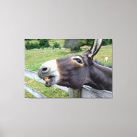 Photographie d'Art de Mur d'Âne Sourire Animal